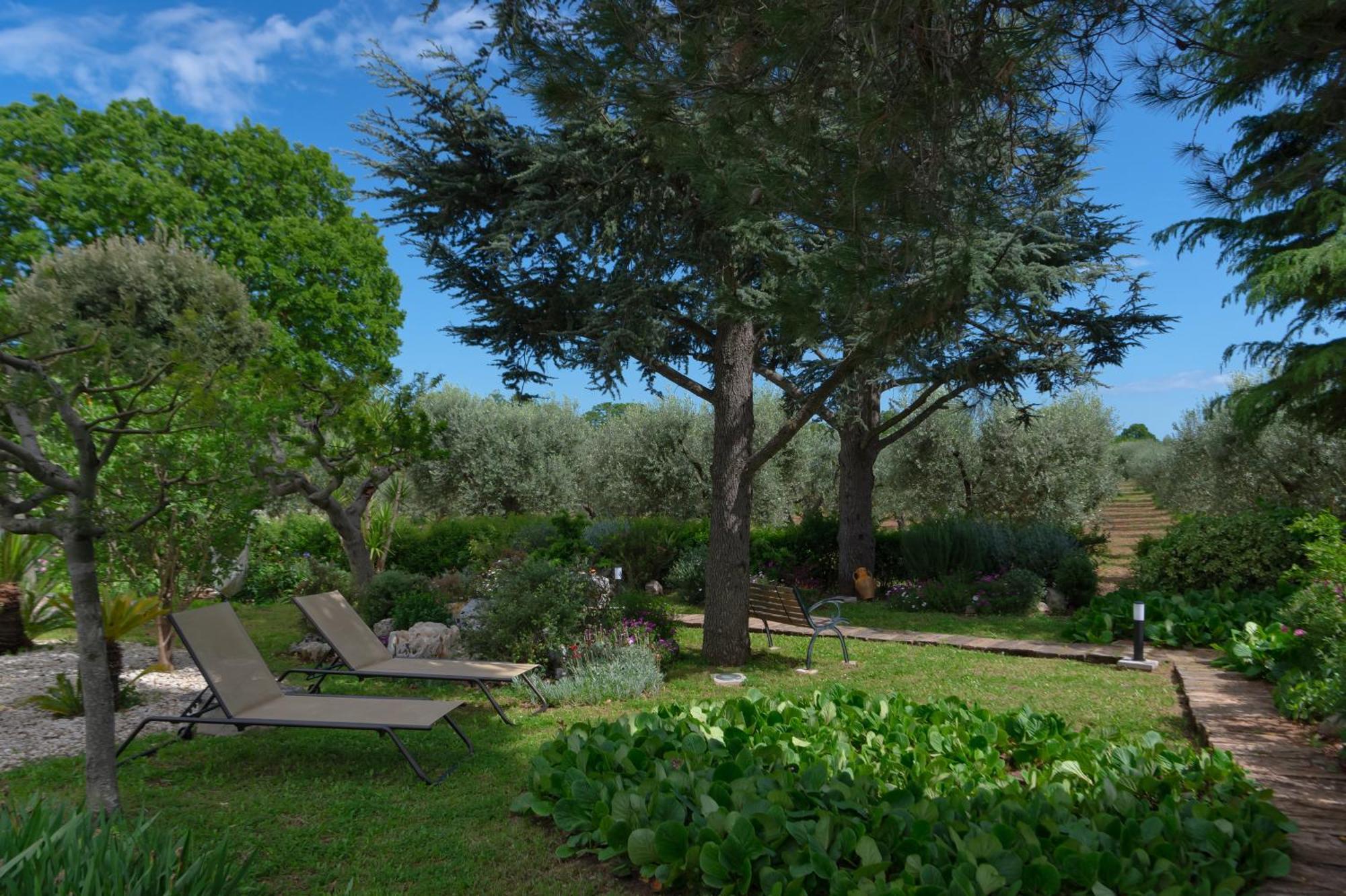 Agriturismo Masseria Aprile لوكوروتوندو المظهر الخارجي الصورة